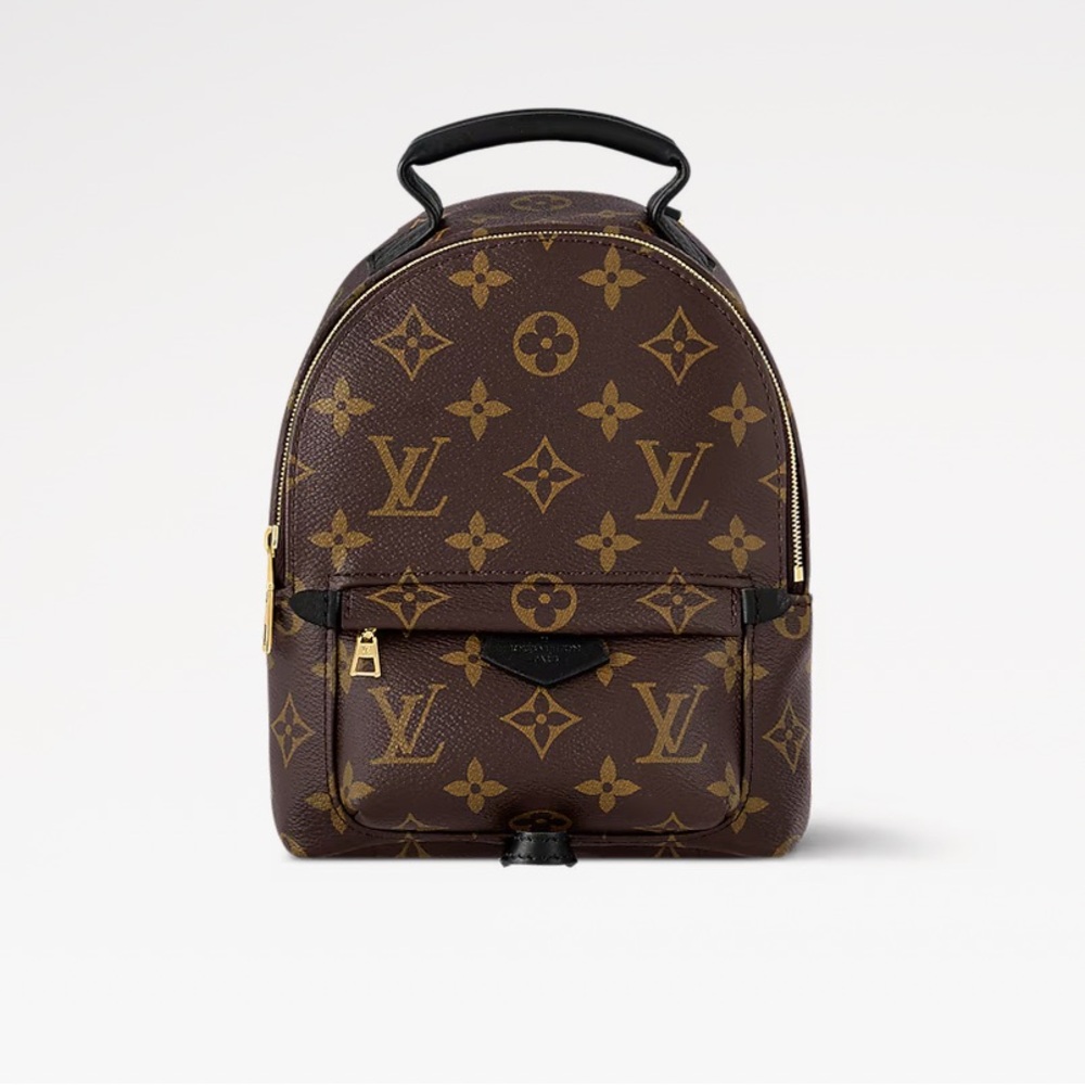 Louis Vuitton Palm Springs Mini backpack